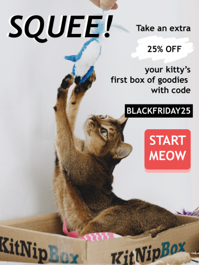 KitNipBox Black Friday Sale - 25% Off First Month!