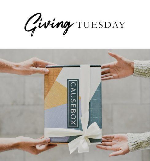 Read more about the article CAUSEBOX Giving Tuesday Sale – Free Limited Box with Winter 2017 Box!