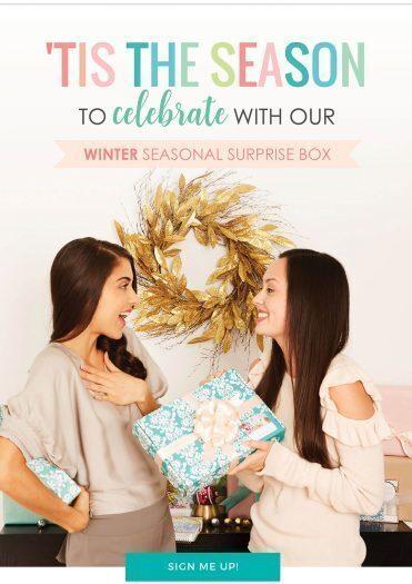 Erin Condren Winter 2017 Seasonal Surprise - On sale now
