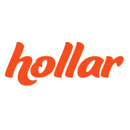 Read more about the article Hollar Mystery Bags (Beauty, Home, Toys & General)