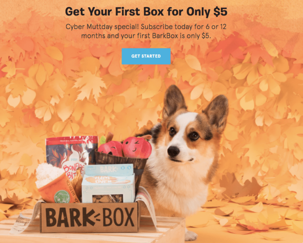 BarkBox Coupon Code - $5 First Box on 6 or 12-month Plans!