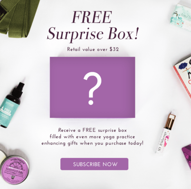 Read more about the article Yogi Surprise FREE Surprise Box with New Subscriptions!