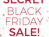Adore Me Black Friday Sales!