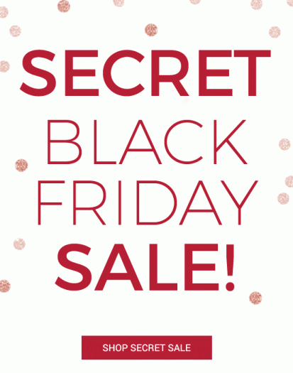 Read more about the article Adore Me Black Friday Sales!