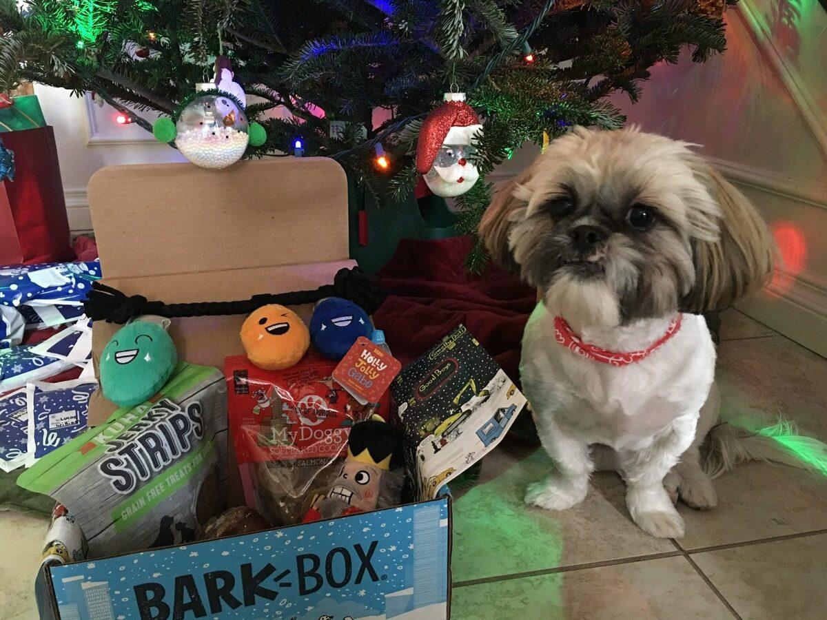 BarkBox Subscription Review + Coupon Code – December 2017