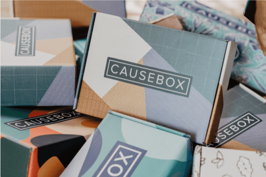 CAUSEBOX Coupon Code – Free Mystery Bundle + Winter 2017 FULL Spoilers