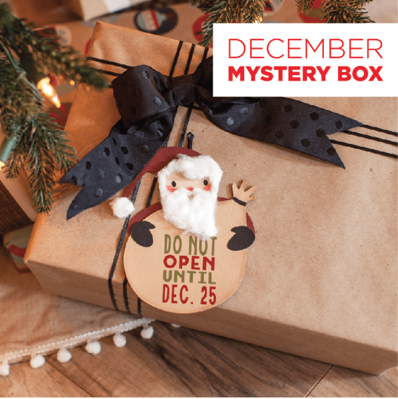 Read more about the article Cricut December Mystery Box – On Sale Now + Coupon Code