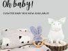 Third & Main Baby Box – On Sale Now + Full Spoilers