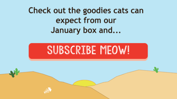 Read more about the article KitNipBox January 2018 Sneak Peek + Coupon Code
