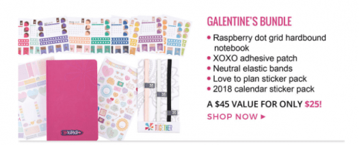 Erin Condren Galentine’s Day Bundle + NEW Sticker Pack!