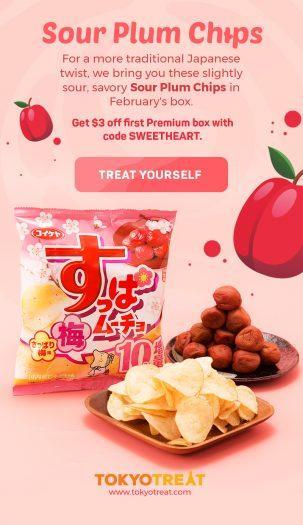 TokyoTreat February 2018 Spoiler #5 + Coupon Code