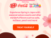 TokyoTreat March 2018 Spoiler #3 + Coupon Code