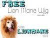 Pet Treater Coupon Code – Free Lion Mane Wig with New Subscription