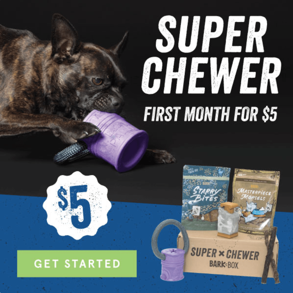 $5 super chewer barkbox
