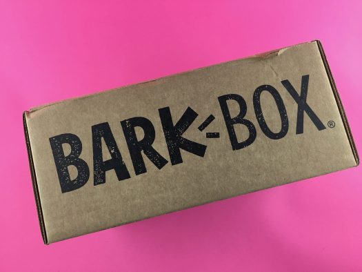 BarkBox Subscription Review + Coupon Code - March 2018