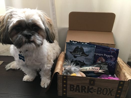 BarkBox Subscription Review + Coupon Code - April 2018