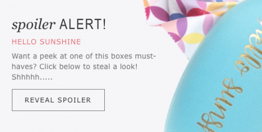 Erin Condren Summer 2018 Seasonal Surprise Box Sneak Peek + Last Call