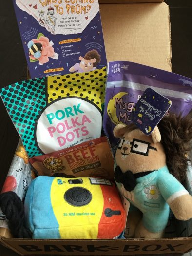 BarkBox Subscription Review + Coupon Code - June 2018
