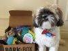 BarkBox Subscription Review + Coupon Code – June 2018