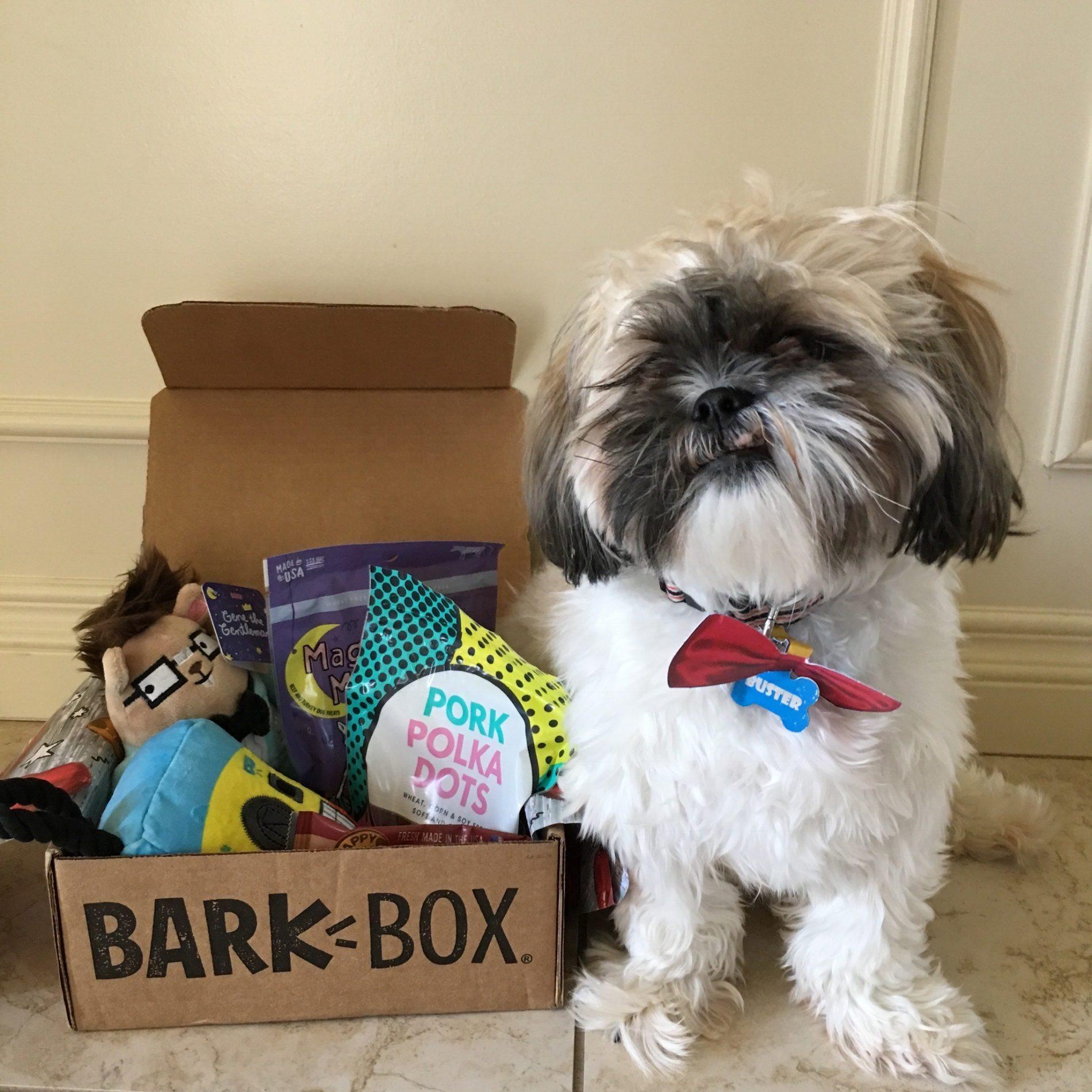 BarkBox Subscription Review + Coupon Code – June 2018