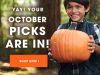 October 2018 FabKids Selection Time + New Subscriber Offer