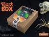 Knockaround Sunglasses Knock Box Mystery Box!