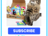 KitNipBox Black Friday Sale – 25% Off First Month!