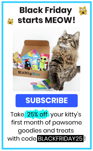 KitNipBox Black Friday Sale – 25% Off First Month!