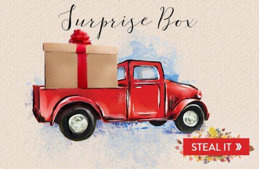Read more about the article Decor Steals Surprise Box – Still Available!