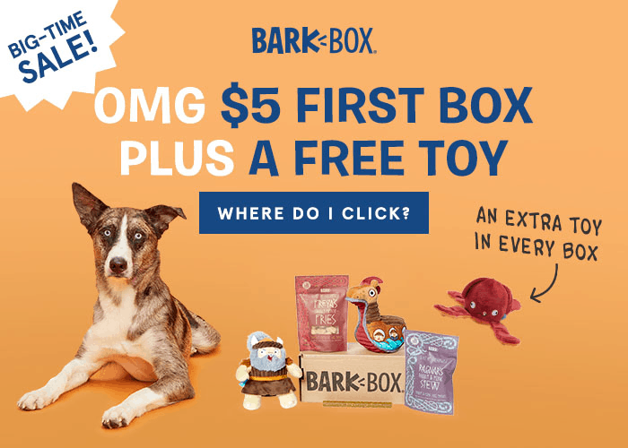 Read more about the article LAST DAY! BarkBox Coupon Code – $5 First Box on 6 or 12-month Plans + Free Extra Toy!!