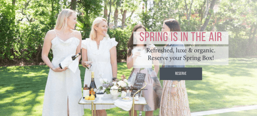 Read more about the article Mostess Spring 2019 Box – On Sale Now!