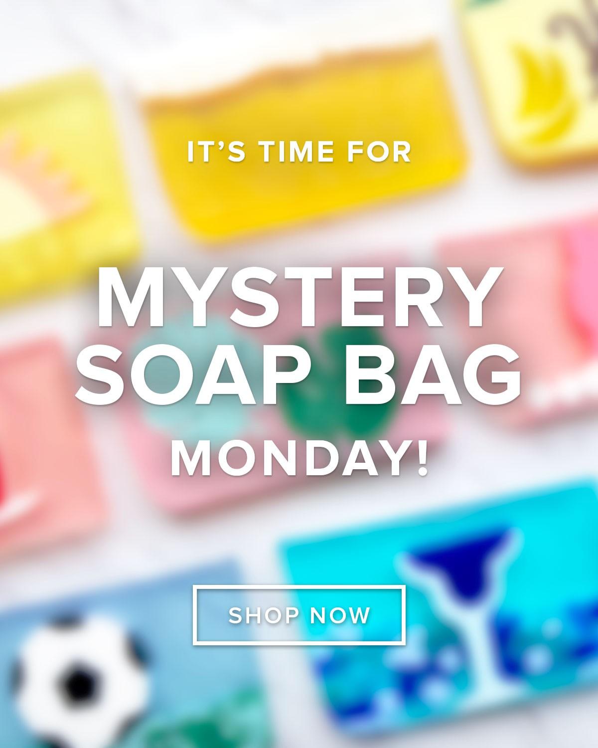 Read more about the article Basin $15 Mystery Bag Sale!