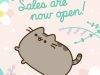 Pusheen Spring 2019 Box – On Sale Now