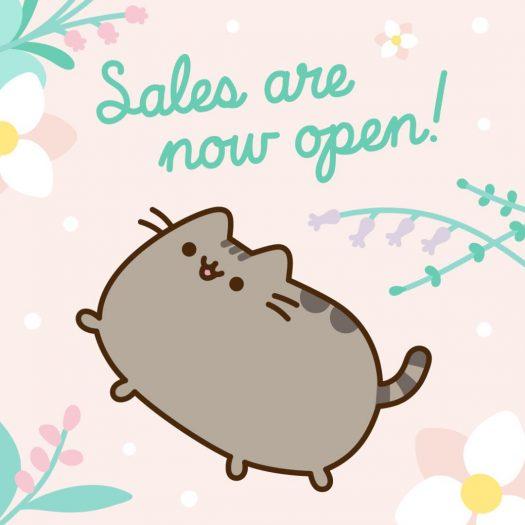 Read more about the article Pusheen Spring 2019 Box Spoiler #2