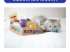 KitNipBox Pet Day Sale – 15% Off First Month!