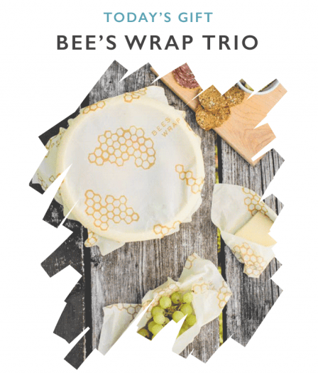CAUSEBOX Coupon Code – FREE Bee’s Wrap Assorted Set + FULL Spring Spoilers