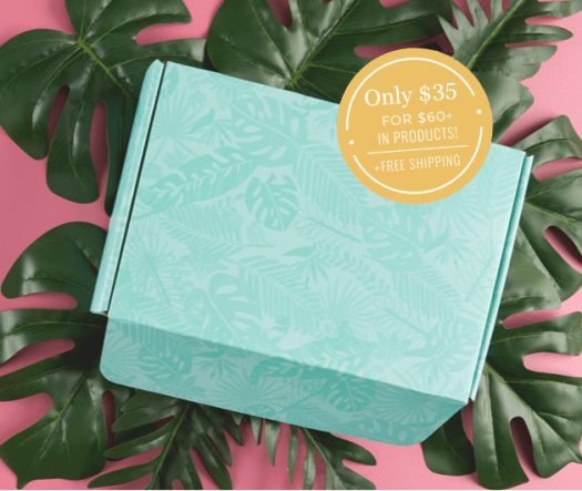 Erin Condren Summer 2019 Seasonal Surprise Box – ON SALE NOW + Sneak Peek!