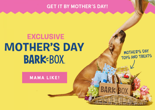 BarkBox Special Edition Mother’s Day Box + Free Bonus Box!