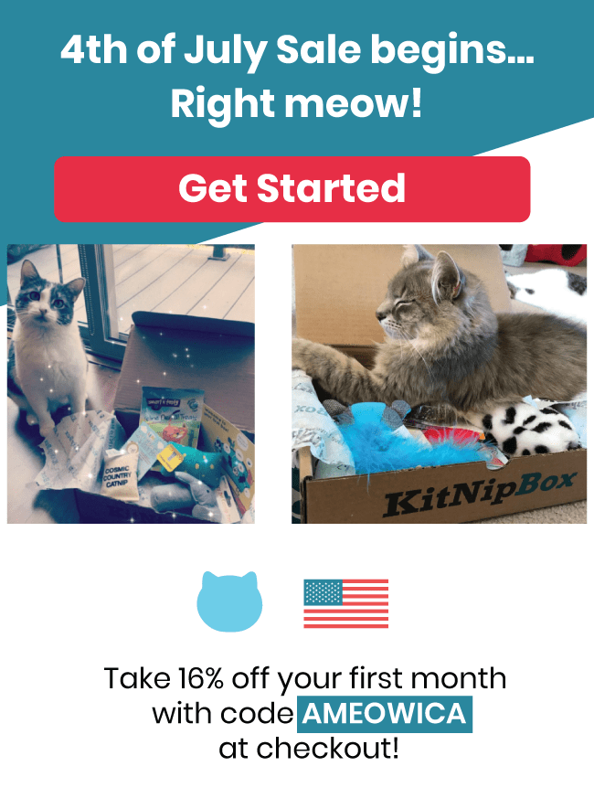 KitNipBox 4th of July Sale – 16% Off First Month!
