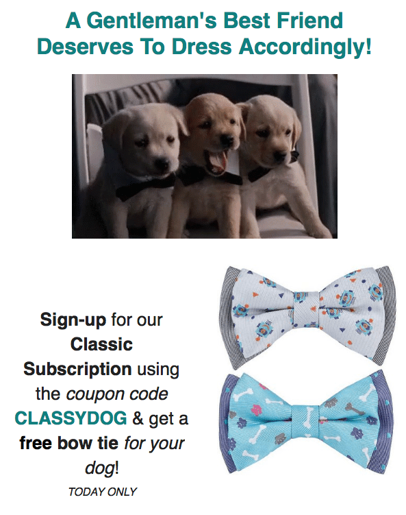 Read more about the article Gentleman’s Box National Dog Day Sale – Free Dog Bowtie!