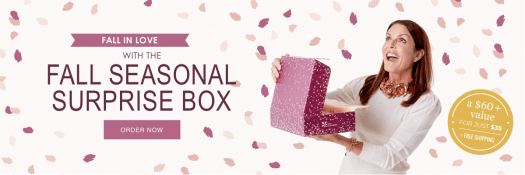 Erin Condren Fall 2019 Seasonal Surprise Box - ON SALE NOW + Sneak Peek!