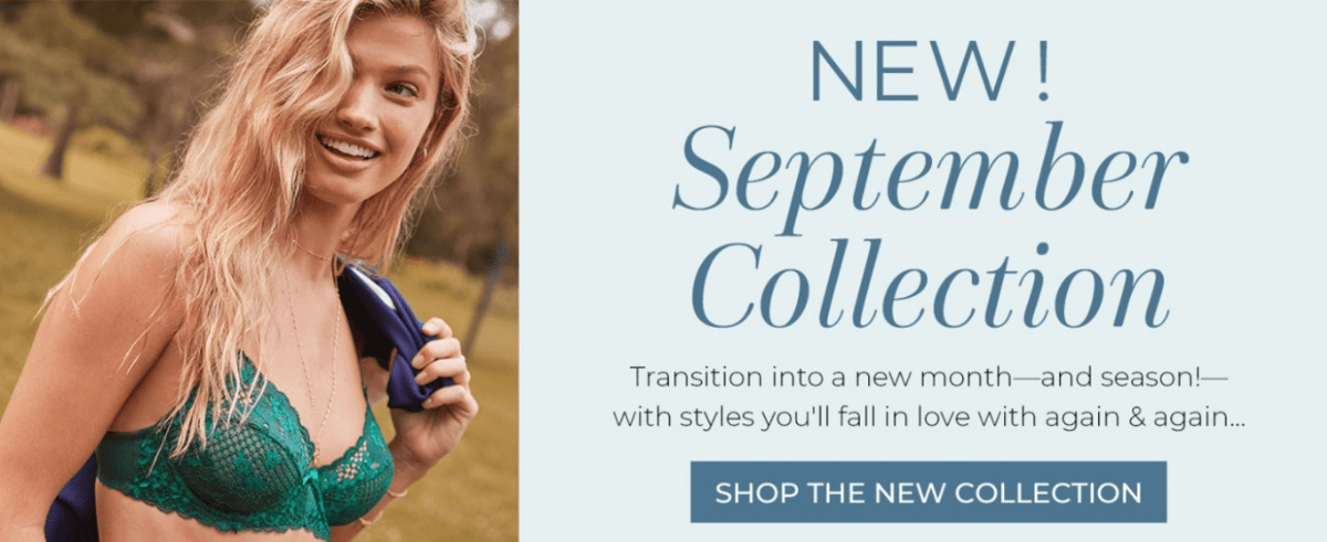 Read more about the article Adore Me September 2019 Selection Window Open + Coupon Code!