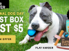 EXTENDED! BarkBox Super Chewer Coupon Code – First Box for $5 + Free Bandana