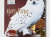 Women’s Harry Potter Owl 15 Days of Socks Advent Calendar – On Sale Now