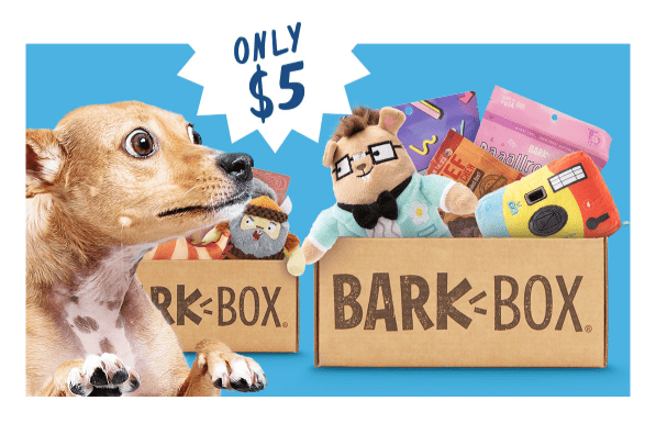 Read more about the article BarkBox Coupon Code – $5 First Box