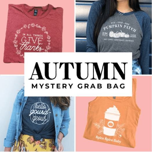 Read more about the article Inspiration.Fit Autumn Mystery Grab Bag!