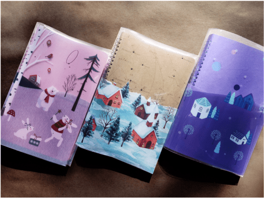 2019 STICKII Advent Calendars - Now Available for Pre-Order!