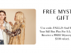 STILL AVAILABLE! Box of Style by Rachel Zoe Sale – Save $25 + Get a Free Mystery Gift!