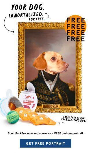 BarkBox Coupon Code – Free Crown & Paw Custom Pet Portrait !