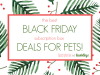 The Best Black Friday Subscription Box for Pets!